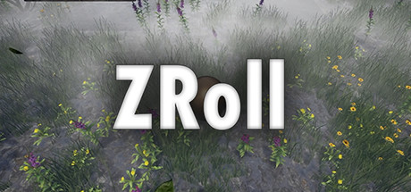 Cover image of  ZRoll