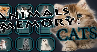 Animals Memory: Cats