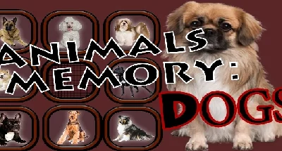 Animals Memory: Dogs