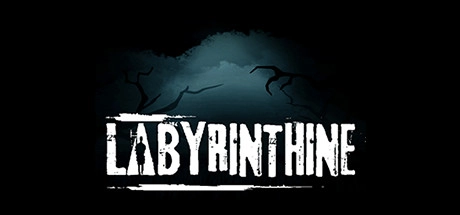 Cover des Steamspiels Labyrinthine